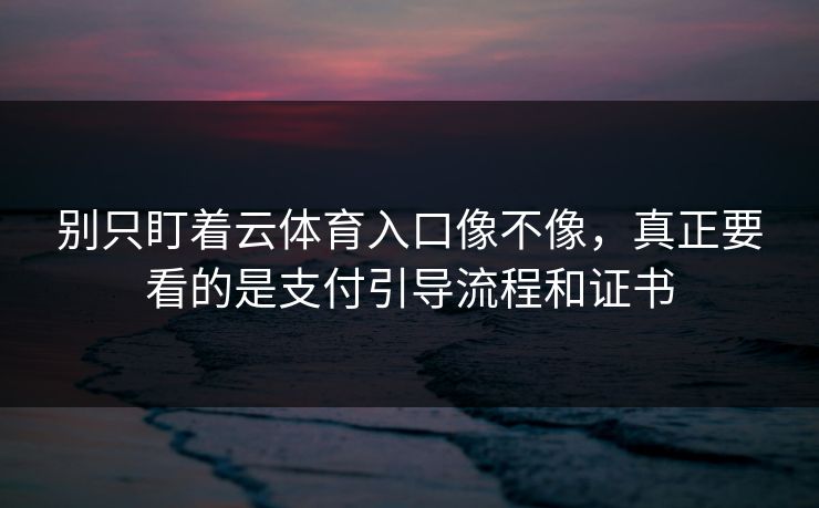 别只盯着云体育入口像不像，真正要看的是支付引导流程和证书
